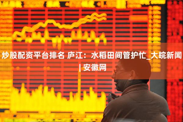 炒股配资平台排名 庐江：水稻田间管护忙_大皖新闻 | 安徽网