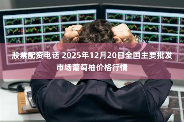 股票配资电话 2025年12月20日全国主要批发市场葡萄柚价格行情