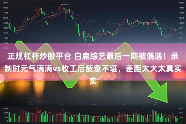 正规杠杆炒股平台 白鹿综艺最后一期被偶遇！录制时元气满满vs收工后疲惫不堪，差距太大太真实